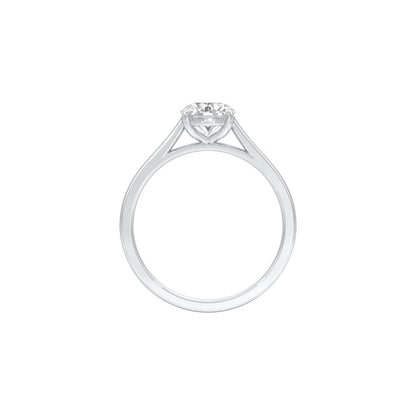 DLR001712 18 KT / White Gold / 22