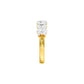 DLR001735 18 KT / Yellow Gold / 22