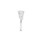 DLR001798 18 KT / White Gold / 22
