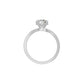 DLR002135 18 KT / White Gold / 18