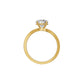 DLR002135 18 KT / Yellow Gold / 18