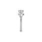 DLR002145 18 KT / White Gold / 18