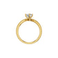 DLR002145 18 KT / Yellow Gold / 18