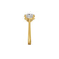 DLR002154 18 KT / Yellow Gold / 18