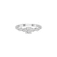 DLR002169 18 KT / White Gold / 18
