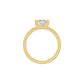 DLR002196 18 KT / Yellow Gold / 18