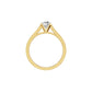 DLR002210 18 KT / Yellow Gold / 18