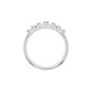 DLR002214 18 KT / White Gold / 18