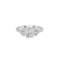 DLR002236 18 KT / White Gold / 18
