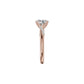 DLR002248 18 KT / Rose Gold / 18