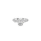 DLR002248 18 KT / White Gold / 18