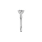 DLR002248 18 KT / White Gold / 18