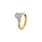 DLR002248 18 KT / Yellow Gold / 18