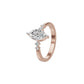 DLR002249 18 KT / Rose Gold / 18
