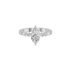 DLR002249 18 KT / White Gold / 18