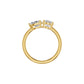 DLR002252 18 KT / Yellow Gold / 18