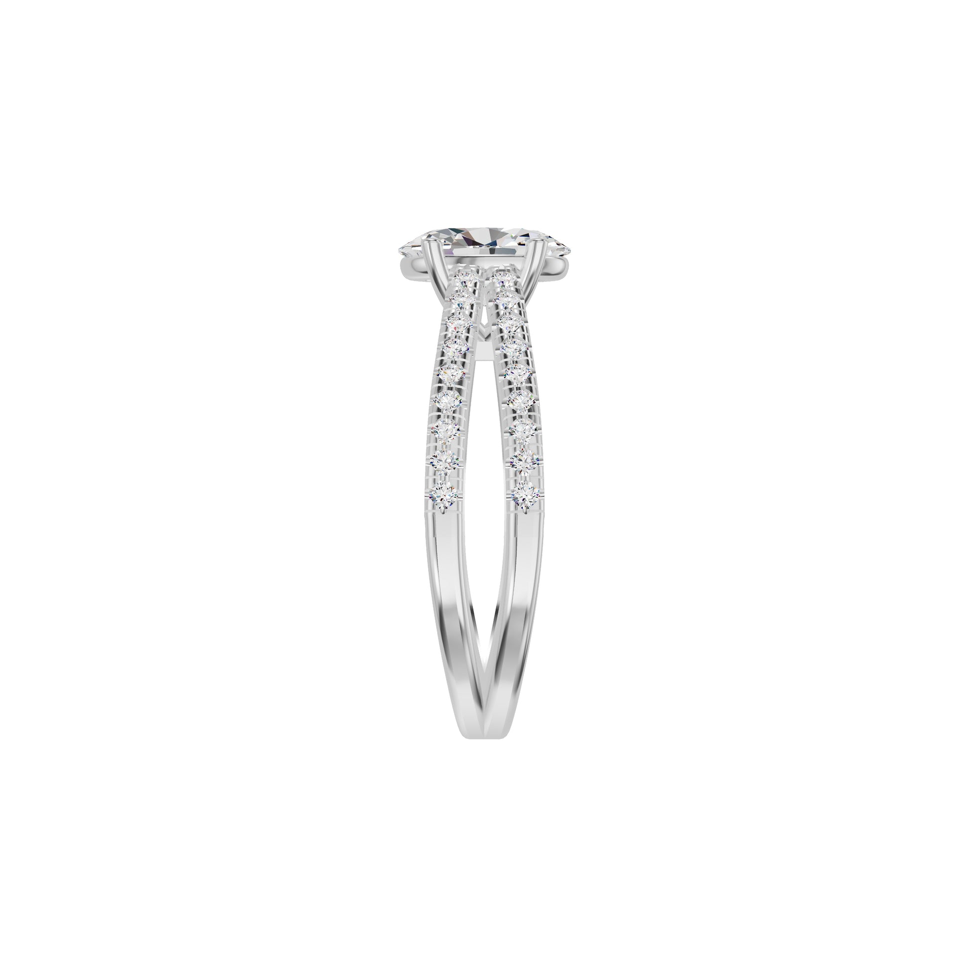 DLR002257 18 KT / White Gold / 18