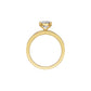 DLR002262 18 KT / Yellow Gold / 18