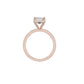 DLR002263 18 KT / Rose Gold / 18