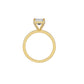 DLR002263 18 KT / Yellow Gold / 18