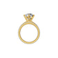 DLR002264 18 KT / Yellow Gold / 18