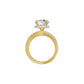 DLR002266 18 KT / Yellow Gold / 18