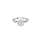 DLR002365 18 KT / White Gold / 18