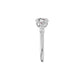 DLR002378 18 KT / White Gold / 18