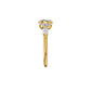 DLR002378 18 KT / Yellow Gold / 18
