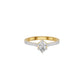 DLR002381 18 KT / Yellow Gold / 18