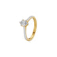 DLR002381 18 KT / Yellow Gold / 18