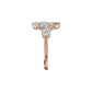 DLR002401 18 KT / Rose Gold / 18