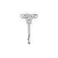DLR002401 18 KT / White Gold / 18