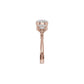 DLR002420 18 KT / Rose Gold / 18
