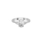 DLR002423 18 KT / White Gold / 18