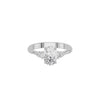 DLR002423 18 KT / White Gold / 18