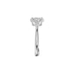 DLR002423 18 KT / White Gold / 18