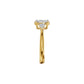 DLR002423 18 KT / Yellow Gold / 18
