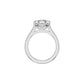 DLR002425 18 KT / White Gold / 18