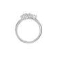 DLR002435 18 KT / White Gold / 18
