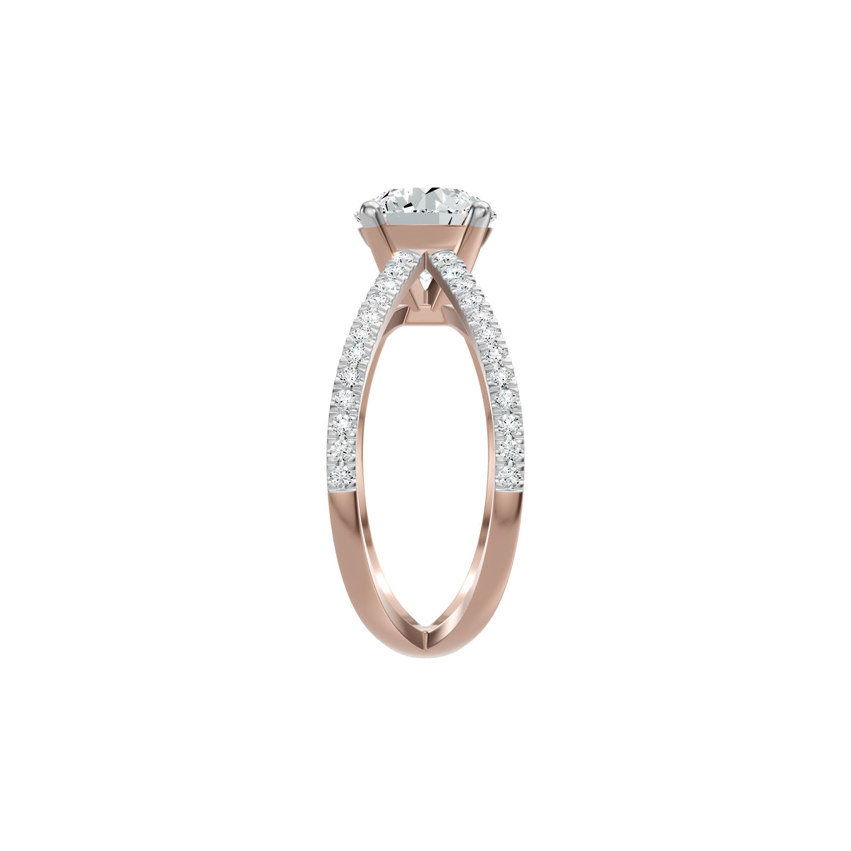 DLR002440 18 KT / Rose Gold / 18