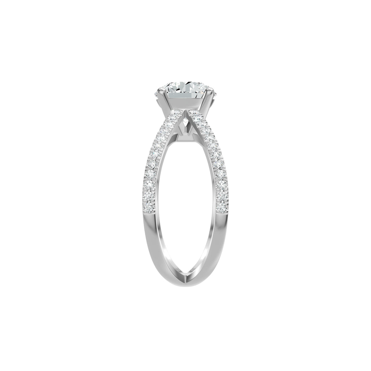 DLR002440 18 KT / White Gold / 18