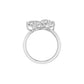 DLR002449 18 KT / White Gold / 18