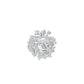 DLR002452 18 KT / White Gold / 18