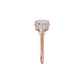 DLR002540 18 KT / Rose Gold / 18