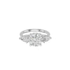 DLR002540 18 KT / White Gold / 18