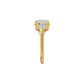 DLR002540 18 KT / Yellow Gold / 18