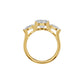 DLR002540 18 KT / Yellow Gold / 18