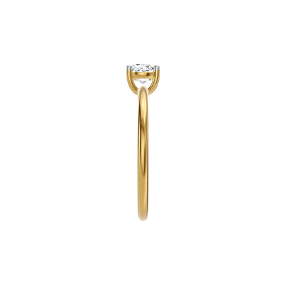 DLR002603 18 KT / Yellow Gold / 18