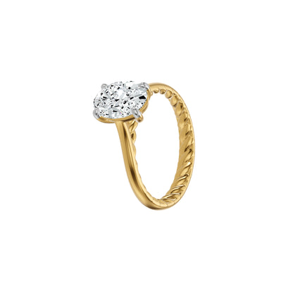 DLR002604 18 KT / Yellow Gold / 18